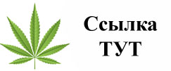 Купить наркотики в Чапаевске